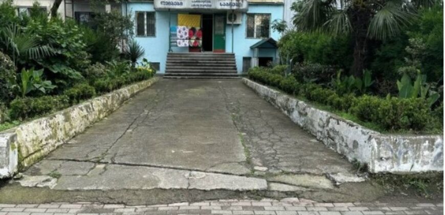 David Aghmashenebeli Street, 8