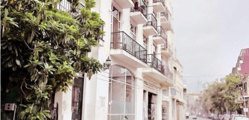 Luka Asatiani Street, 12