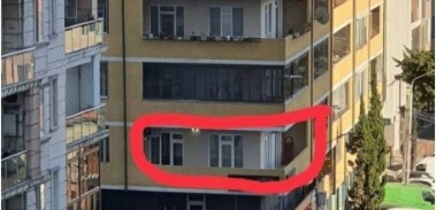 Haidar Abashidze Street, 61