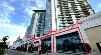Shota Rustaveli St, 40
