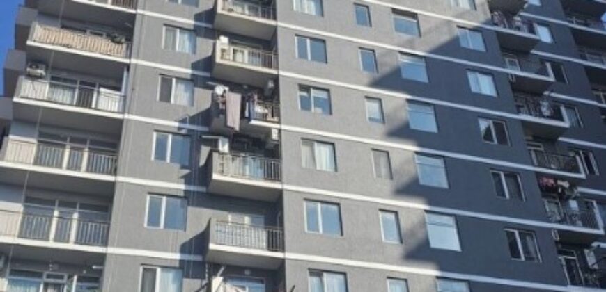 Javakhishvili St, 61b