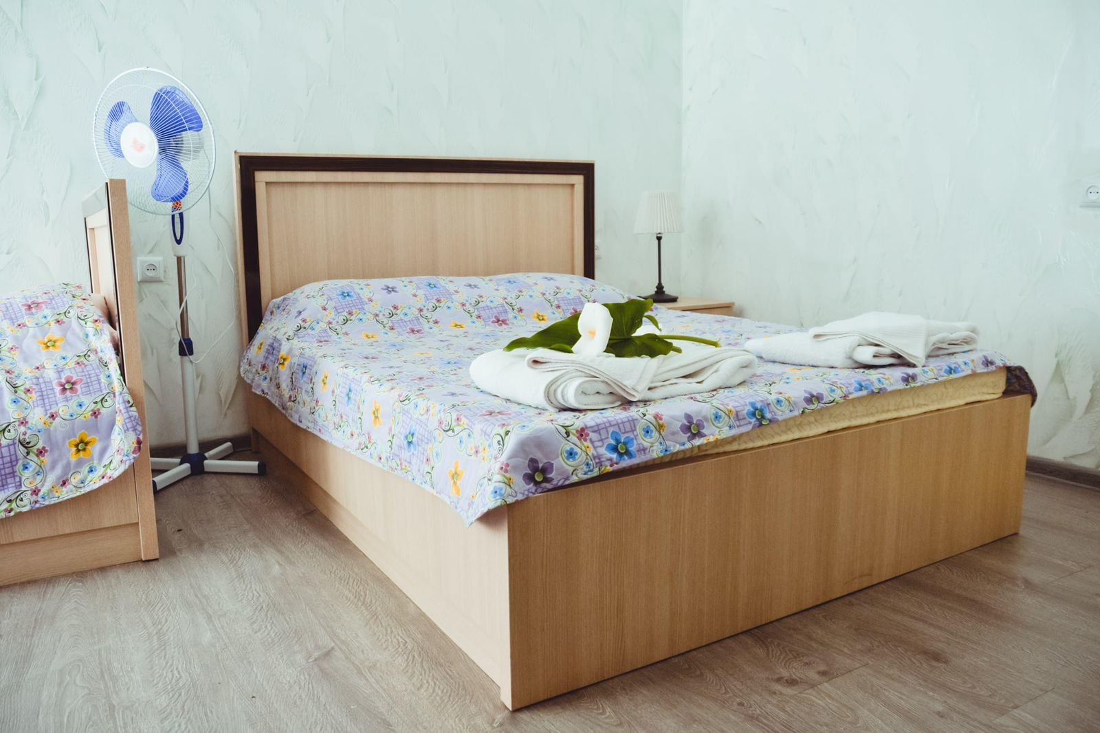 Ioane Lazi Street, 33a