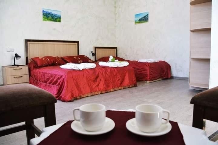 Ioane Lazi Street, 33a